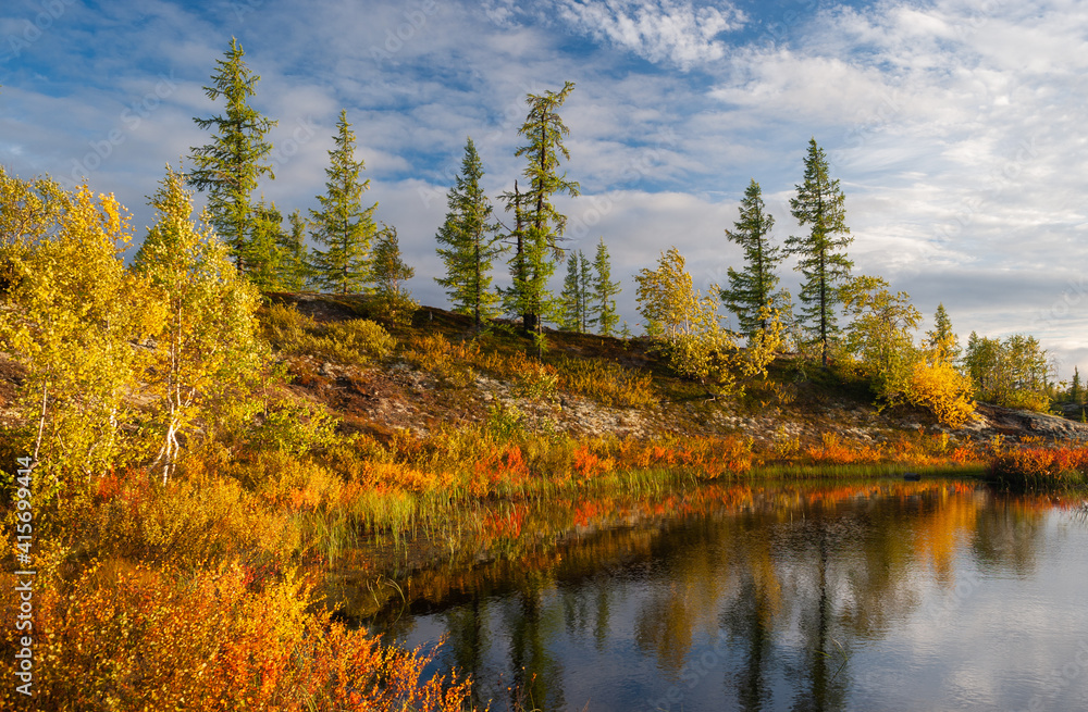 Fototapeta premium autumn trees in the lake