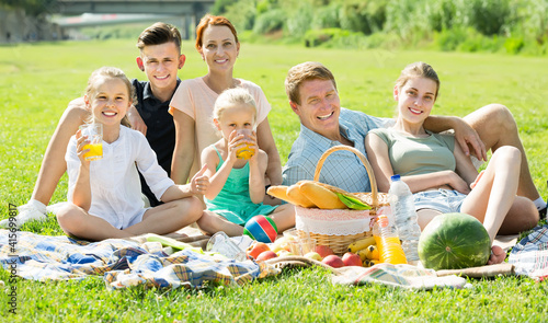 ordinary large family of six having picnic outdoors on green lawn in park