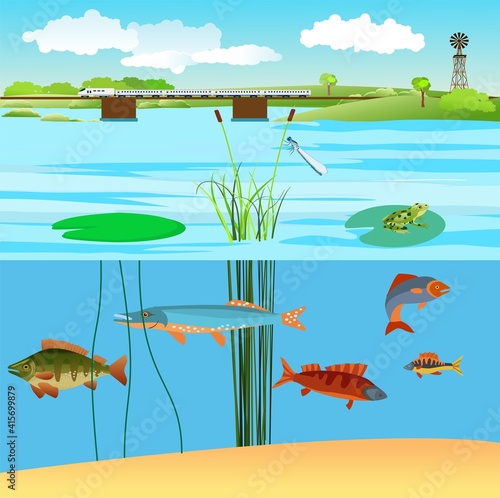 Natural wild landscape, river and lakes with fishes and other habitants, vector landscape