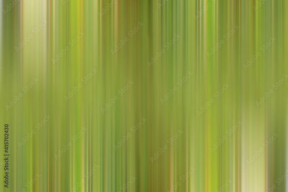 Obraz premium green gradient background / abstract blurry fresh green background