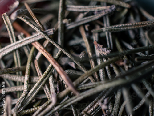 Closeup photo of dry thyme