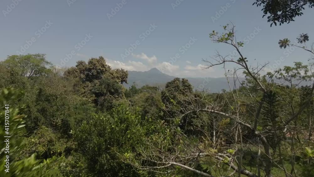 slow flight over trees in colombian native hill slow flight over trees in colombian native hill