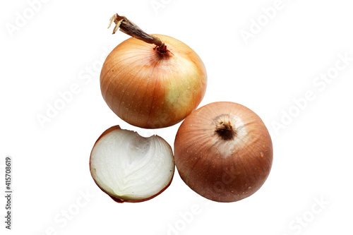 Onion fruits  isolated on a white background