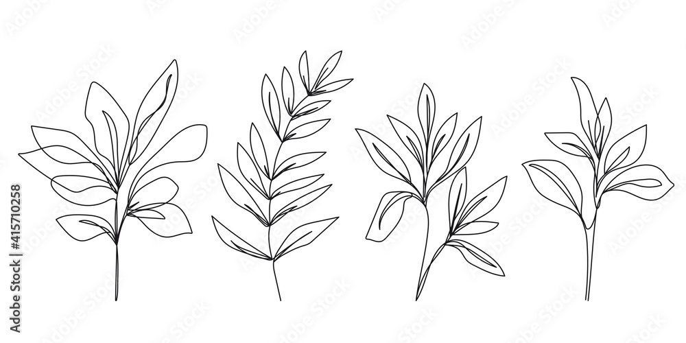 Continuous Line Drawing Set Of Plants Black Sketch of Flowers Isolated