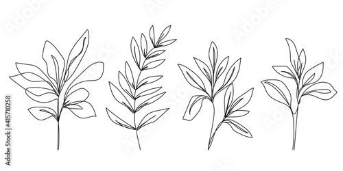 Continuous Line Drawing Set Of Plants Black Sketch of Flowers Isolated on White Background. Flowers One Line Illustration. Minimalist Prints Set. Vector EPS 10. photo