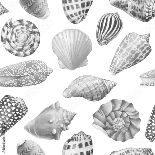 Seamless pattern with underwater life objects - gray sea shells, marine mollusk. Watercolor hand drawn painting illustration isolated on white background.