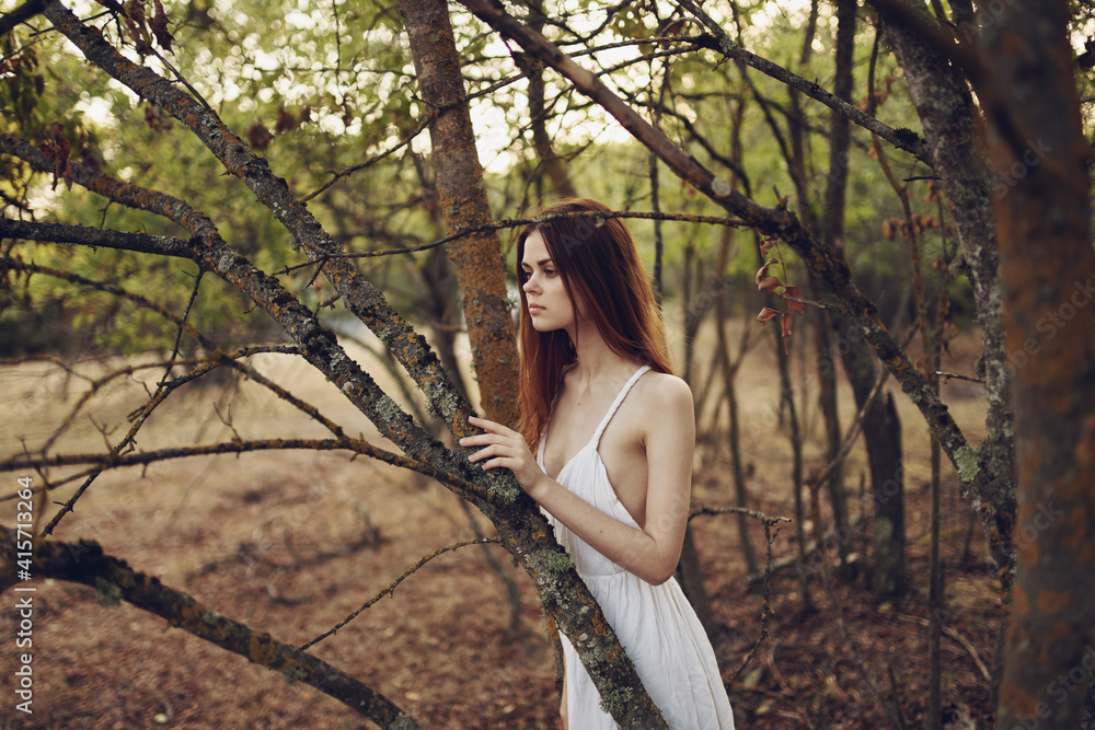 beautiful woman in white dress leaned on a tree trunk on nature in the forest beautiful woman in white dress leaned on a tree trunk on nature in the forest