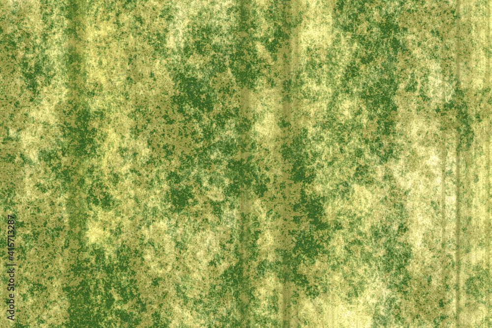 Fototapeta premium grungy wall texture