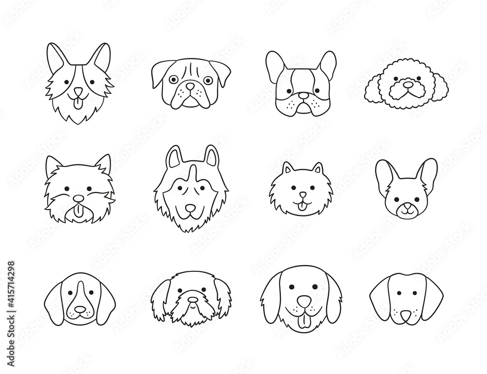 Set of heads of different breeds dogs Corgi, Pug, Chihuahua, Terrier, Retriever, Dachshund, Poodle. Collection of dog faces. Hand drawn isolated vector illustration in doodle style on white background