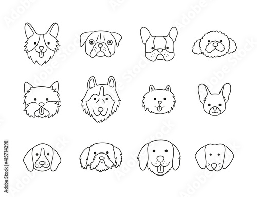 Set of heads of different breeds dogs Corgi, Pug, Chihuahua, Terrier, Retriever, Dachshund, Poodle. Collection of dog faces. Hand drawn isolated vector illustration in doodle style on white background