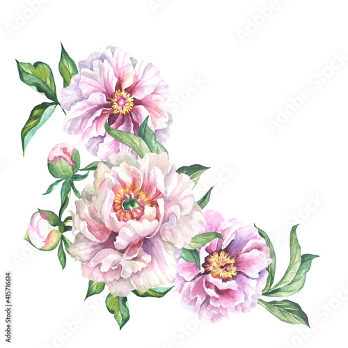 bouquet of peonies .watercolor