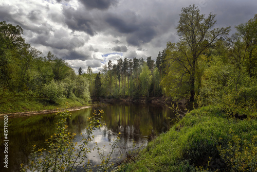 lake in the forest