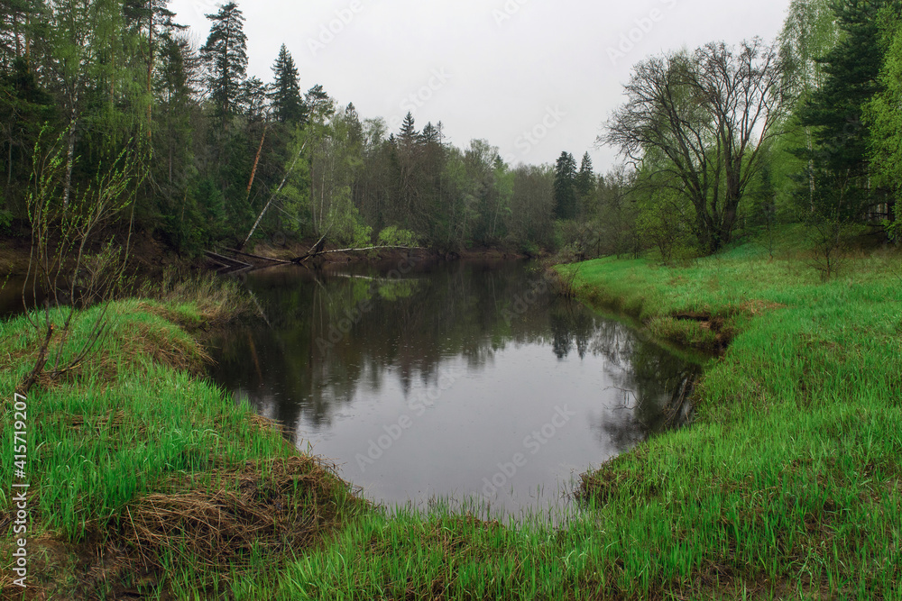 Obraz premium lake in the forest