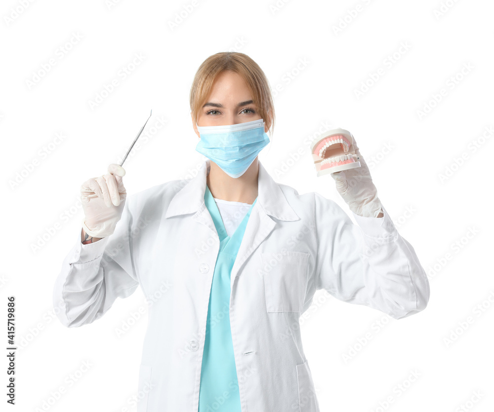 Female dentist with plastic jaw model on white background Female dentist with plastic jaw model on white background