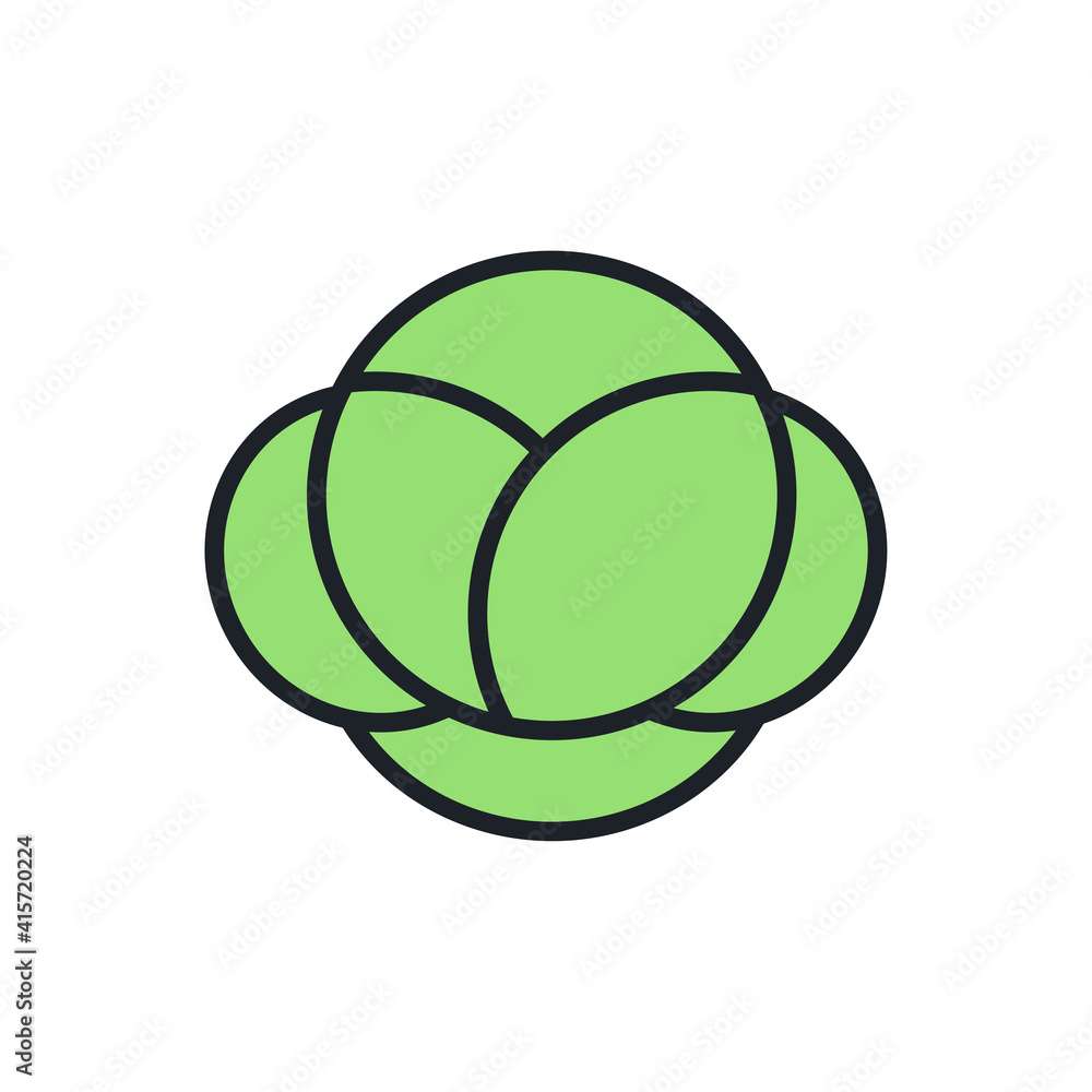 Cabbage icon. Linear color icon, contour, shape, outline isolated on white. Thin line. Modern design. Vector illustrations of vegetables.