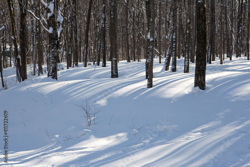 Snowy forest on a sunny day after heavy snowfall