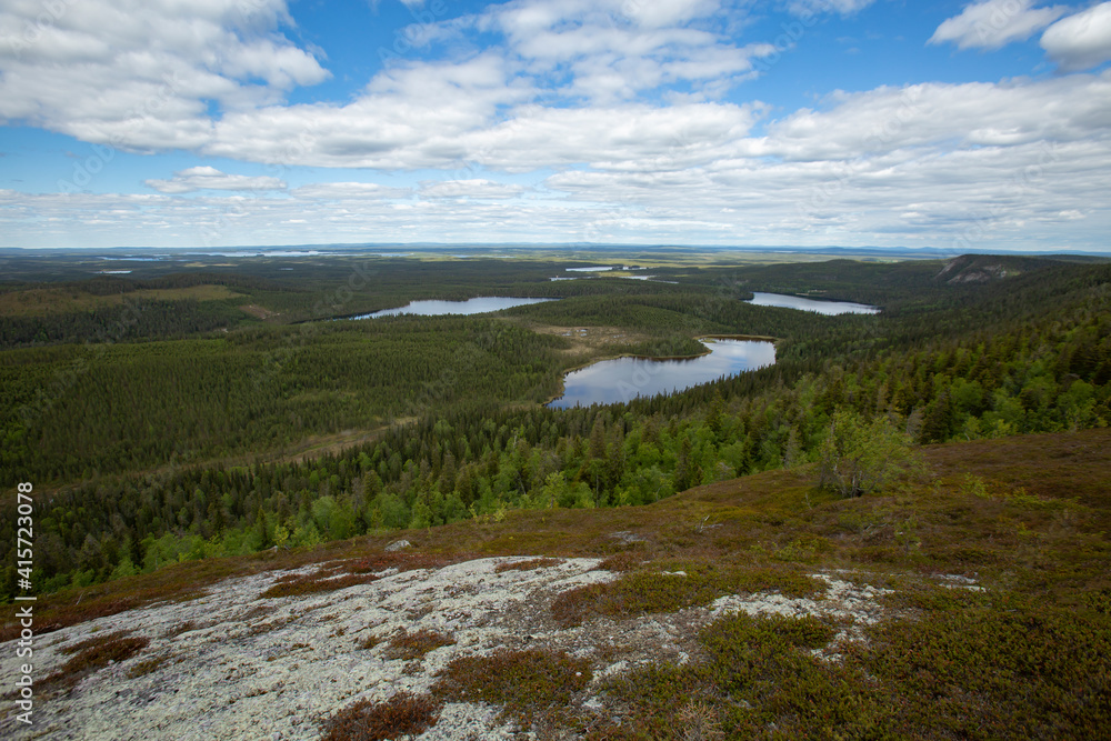 View from Valtavaara hill over green taiga forests and lakes of Kuusamo area in Northern Finland