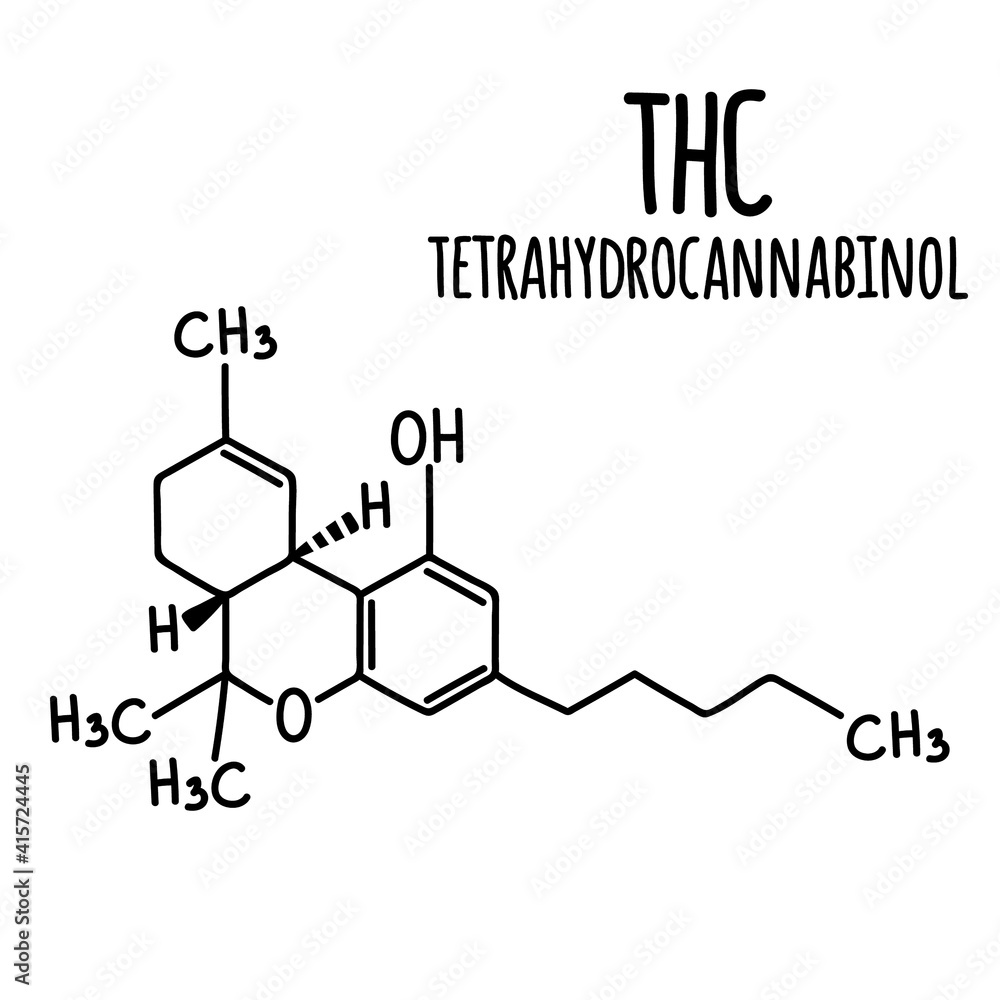 Molecular structural chemical formula of cannabinol tetrahydrocannabinol. Vector hand drawn illustration. Molecular structural chemical formula of cannabinol tetrahydrocannabinol. Vector hand drawn illustration.