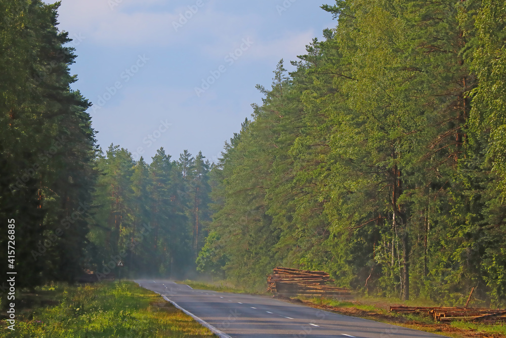Fototapeta premium Wet road along the forest after rain.