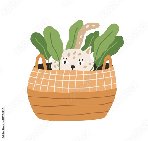 Cute and funny playful cat hiding in wicker basket with plant. Adorable kitty playing and lurking. Hand-drawn colored flat vector illustration isolated on white background