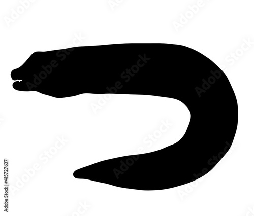 恐怖を感じるウツボのシルエット