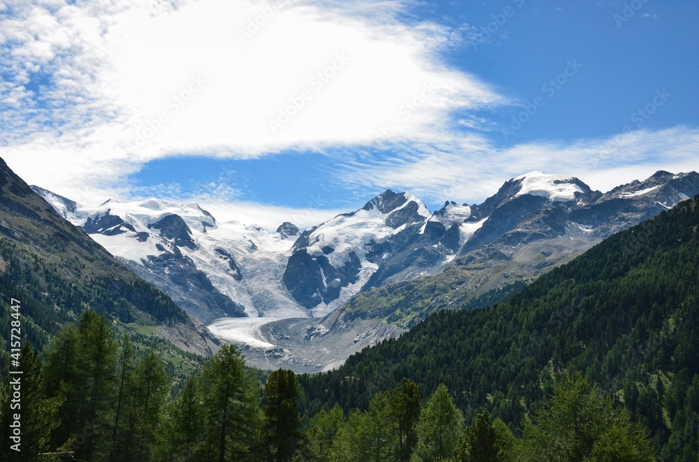 morteratsch glacier in the canton of grisons engadin with green forest in the foreground. Swiss Alps, Blue Sky