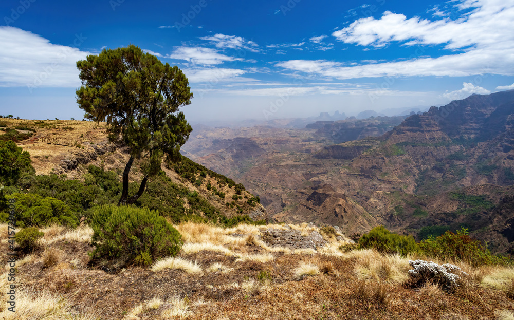 hills panorama of beautiful Semien or Simien Mountains National Park landscape in Northern Ethiopia near lalibela and Gondar. Africa wilderness