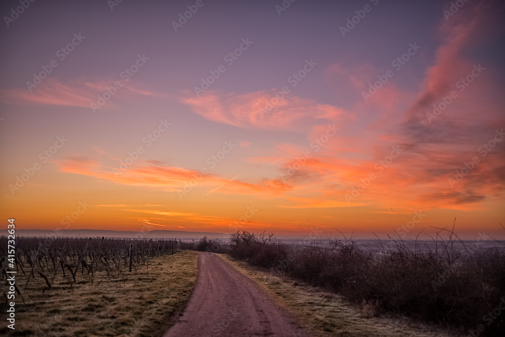 sunrise over the field