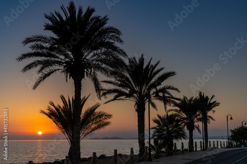 sunset over the ocean with palm trees in silhouette and a beachfront sidewalk and oceanfront road