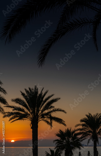 silhouette of palm trees with a beautiful sunset over the ocean in the background