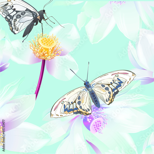 Butterfly decoration painting