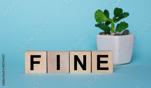 On a light blue background on wooden cubes near a plant in a pot it says FINE