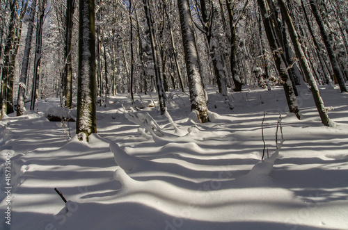 Fototapeta Naklejka Na Ścianę i Meble -  Zima w Bieszczadach 