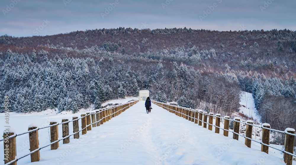 woman with her dog walks along pathway across reservoir dam in winter
woman with her dog walks along pathway across reservoir dam in winter