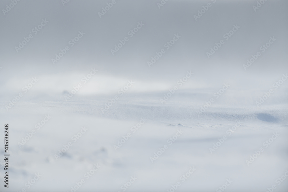 Beautiful winter background with snowy field. Natural winter texture. Beautiful winter background with snowy field. Natural winter texture.