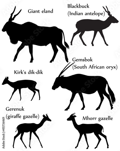 Collection of different species of antelopes in silhouette: giant eland, blackbuck (indian antelope), gemsbok (south african oryx), kirk's dik-dik, gerenuk (giraffe gazelle), mhorr gazelle photo