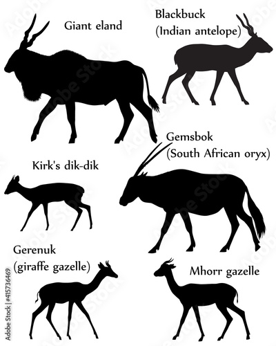 Collection of different species of antelopes in silhouette: giant eland, blackbuck (indian antelope), gemsbok (south african oryx), kirk's dik-dik, gerenuk (giraffe gazelle), mhorr gazelle