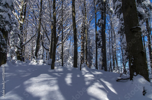 Fototapeta Naklejka Na Ścianę i Meble -  Zima w Bieszczadach