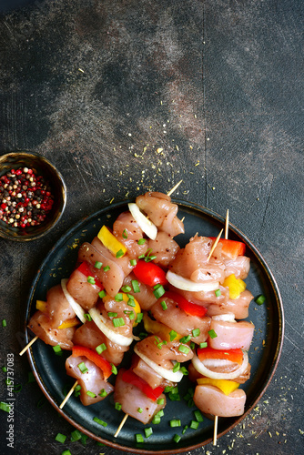 Raw chicken kebab with ingredients for marinating. Top view with copy space.