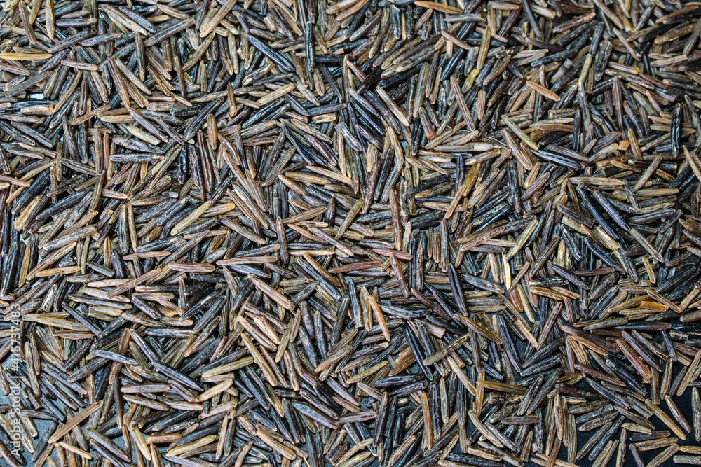 close up of a pile of rice, wild rice background, background of rice