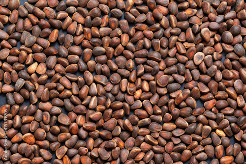 Background unpeeled Siberian pine nuts in a shell close-up. 
