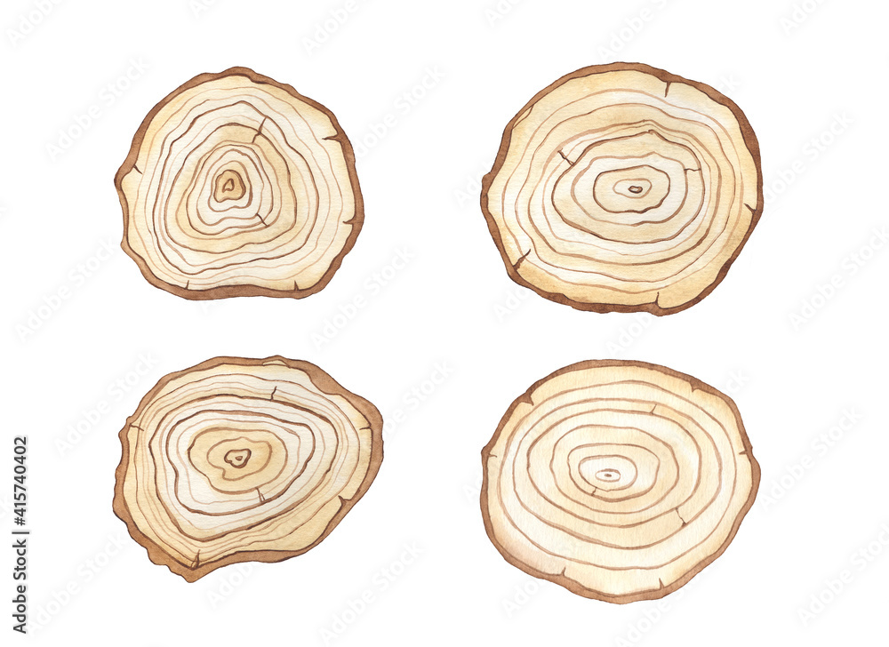 Watercolor Wooden Slices and sign boards clipart