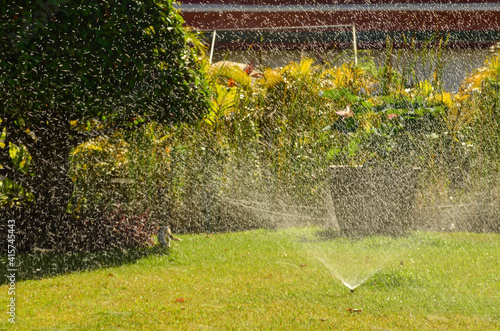 Wallpaper Mural Spreading water from sprinkle in the park fast and high speed shutter shot, green garden no people during daytime in summer Torontodigital.ca