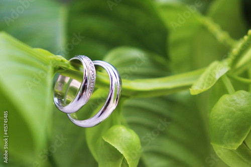 фотографія wedding rings on a leaf