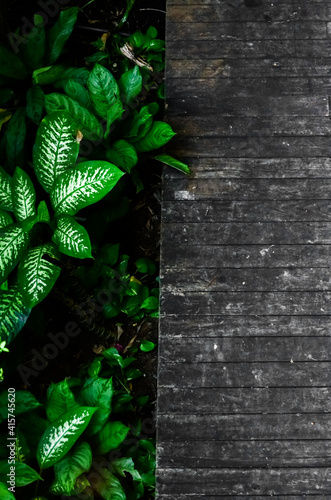 Wallpaper Mural Wood walkway, walk path old style in the park with some green leaves nearby. Vintage and background concept. Torontodigital.ca