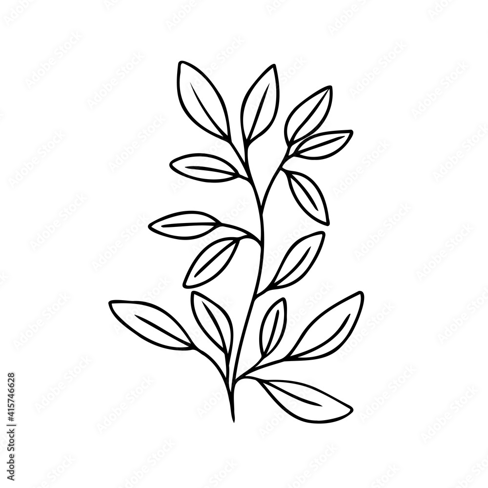 Leaf branch vector outline silhouette. Eco icon Modern Minimalist black