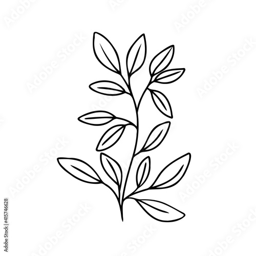 Leaf branch vector outline silhouette. Eco icon Modern Minimalist black leaves. Vector illustration