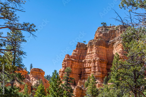 An overlooking view of nature in Dixie National Forest, Utah