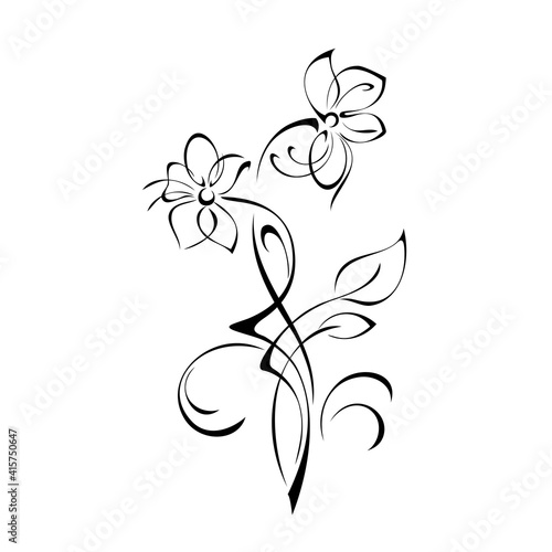 floral design with blooming flowers on stems with leaves and curls in black lines on a white background