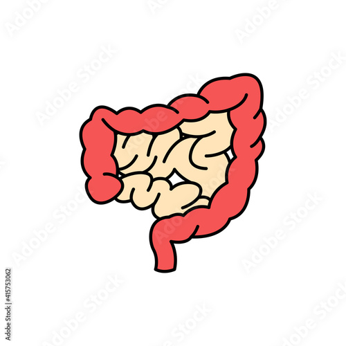 Human organ intestines color line icon. Pictogram for web page, mobile app